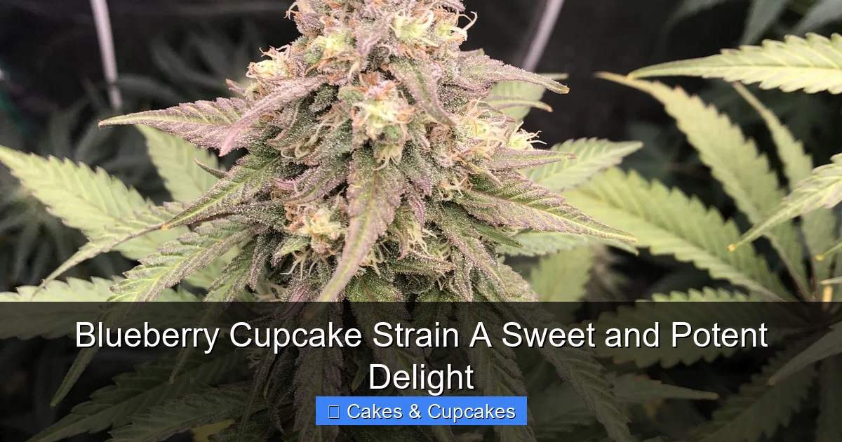 Blueberry Cupcake Strain A Sweet and Potent Delight