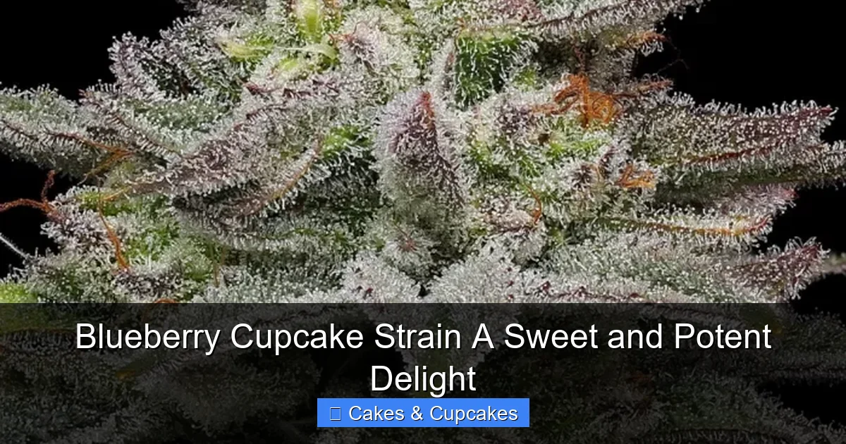 Blueberry Cupcake Strain A Sweet and Potent Delight